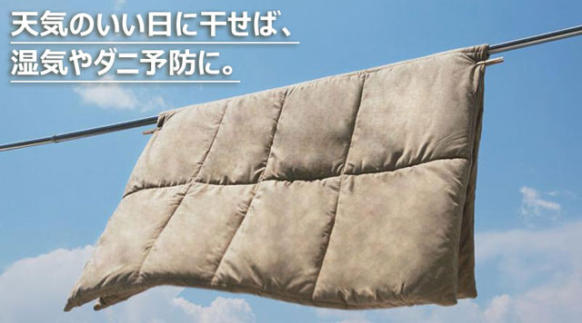 カバーが洗えるソファーベッド